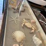 Conero-alba Al Mare-delfino-1 Min A Piedi Dal Mare * بورتو بوتنزا بيشينا